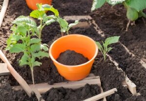 DIY organic fertilizer