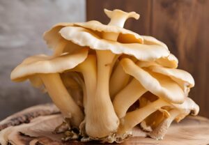 Oyster mushroom